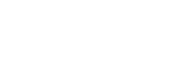 DIGITUS Banner Logo